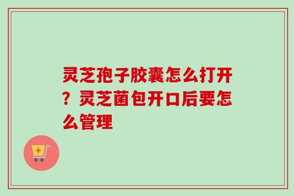 灵芝孢子胶囊怎么打开？灵芝菌包开口后要怎么管理