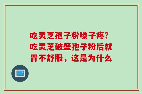 吃灵芝孢子粉嗓子疼？吃灵芝破壁孢子粉后就胃不舒服，这是为什么