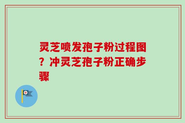 灵芝喷发孢子粉过程图？冲灵芝孢子粉正确步骤