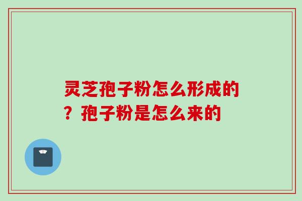 灵芝孢子粉怎么形成的？孢子粉是怎么来的