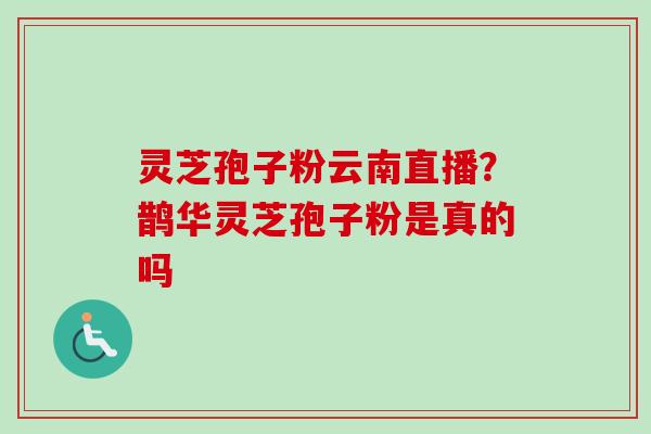 灵芝孢子粉云南直播？鹊华灵芝孢子粉是真的吗