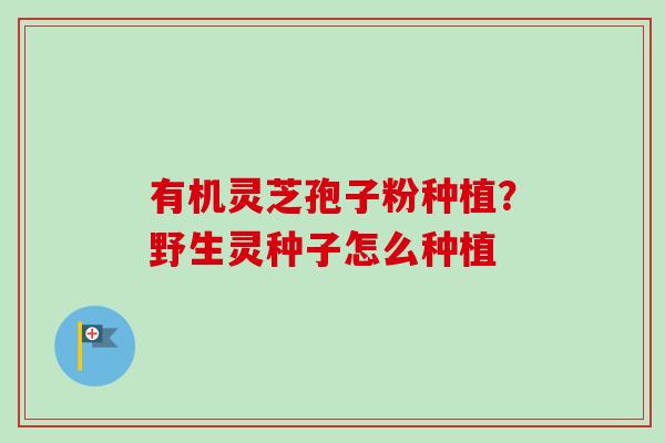 有机灵芝孢子粉种植?野生灵种子怎么种植 有机灵芝孢子粉种植?野生灵种子怎么种植