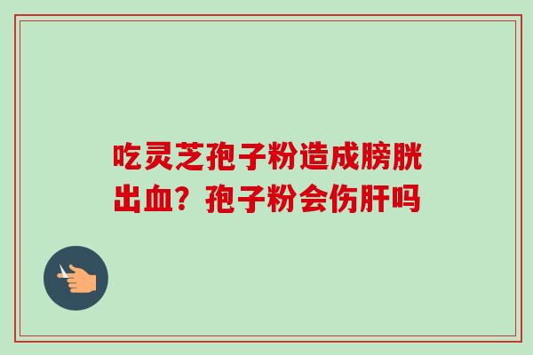 吃灵芝孢子粉造成膀胱出血？孢子粉会伤肝吗