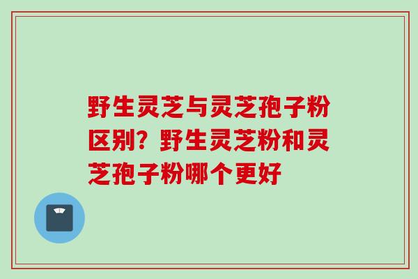 野生灵芝与灵芝孢子粉区别？野生灵芝粉和灵芝孢子粉哪个更好
