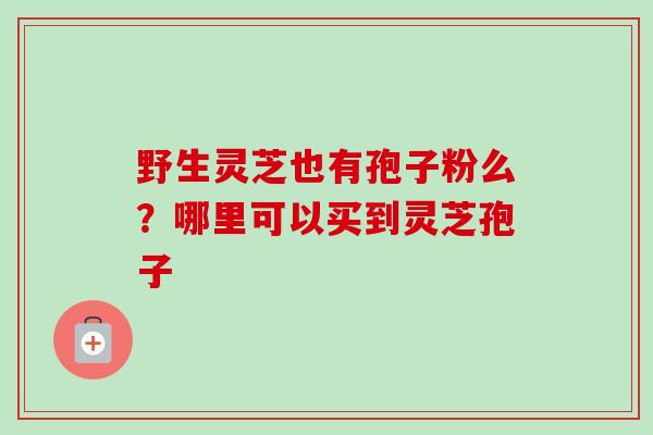 野生灵芝也有孢子粉么?哪里可以买到灵芝孢子 野生灵芝也有孢子粉么?哪里可以买到灵芝孢子