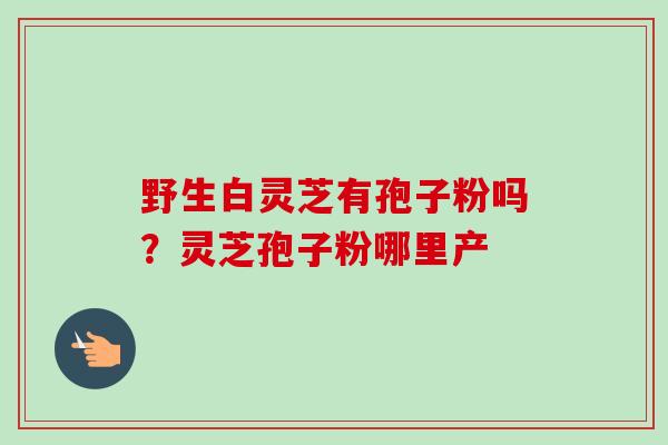 野生白灵芝有孢子粉吗？灵芝孢子粉哪里产