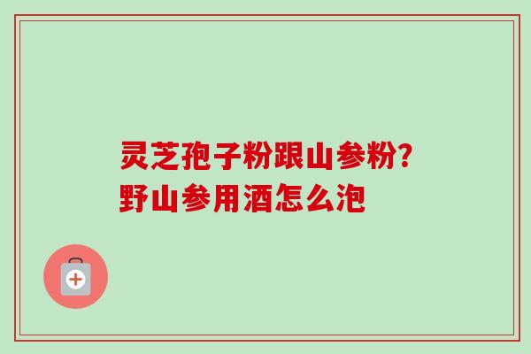 灵芝孢子粉跟山参粉？野山参用酒怎么泡
