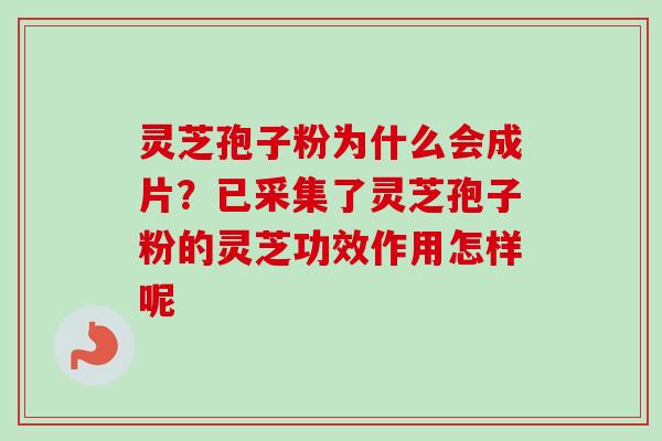 灵芝孢子粉为什么会成片？已采集了灵芝孢子粉的灵芝功效作用怎样呢