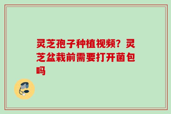 灵芝孢子种植视频？灵芝盆栽前需要打开菌包吗
