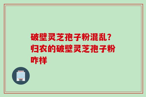 破壁灵芝孢子粉混乱？归农的破壁灵芝孢子粉咋样
