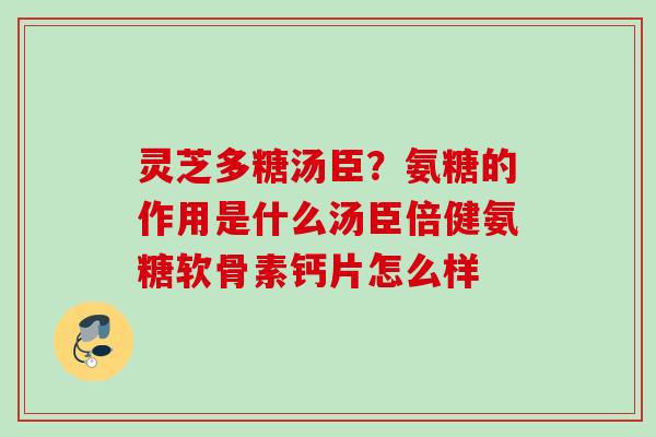 灵芝多糖汤臣?氨糖的作用是什么汤臣倍健氨糖软骨素钙片怎么样 灵芝多糖汤臣?氨糖的作用是什么汤臣倍健氨糖软骨素钙片怎么样