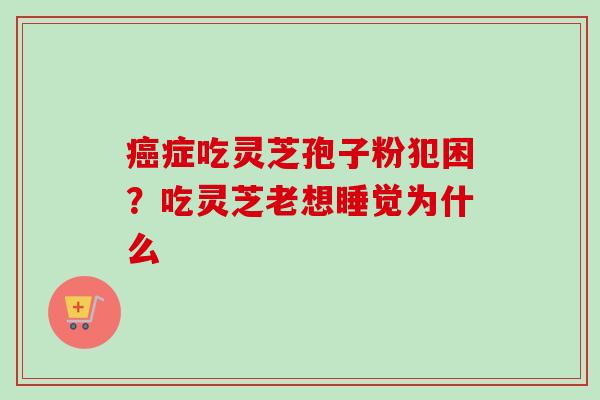 症吃灵芝孢子粉犯困?吃灵芝老想睡觉为什么 症吃灵芝孢子粉犯困?吃灵芝老想睡觉为什么