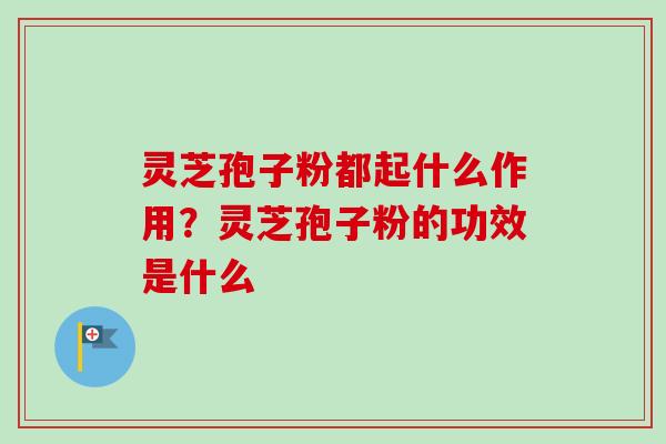 灵芝孢子粉都起什么作用？灵芝孢子粉的功效是什么