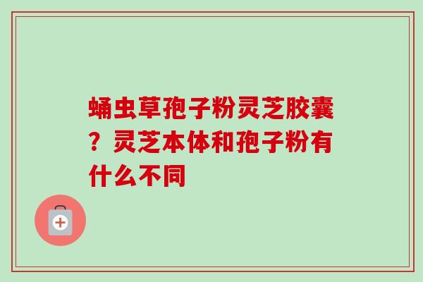 蛹虫草孢子粉灵芝胶囊？灵芝本体和孢子粉有什么不同