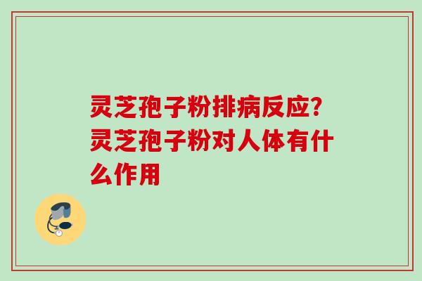 灵芝孢子粉排病反应？灵芝孢子粉对人体有什么作用