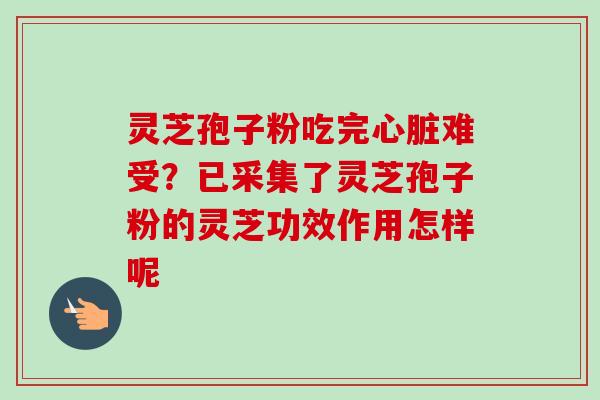 灵芝孢子粉吃完心脏难受？已采集了灵芝孢子粉的灵芝功效作用怎样呢