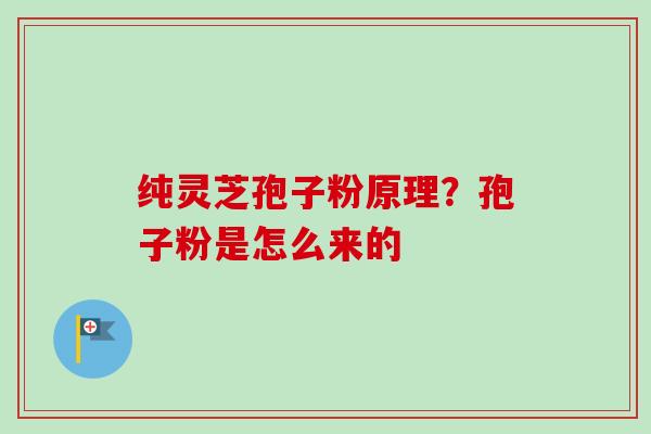 纯灵芝孢子粉原理？孢子粉是怎么来的