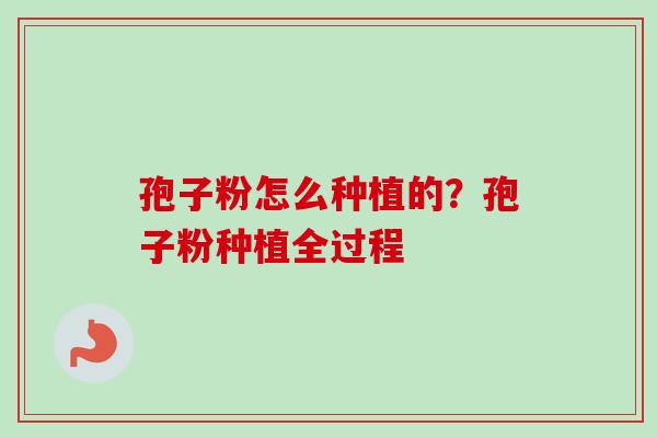 孢子粉怎么种植的？孢子粉种植全过程