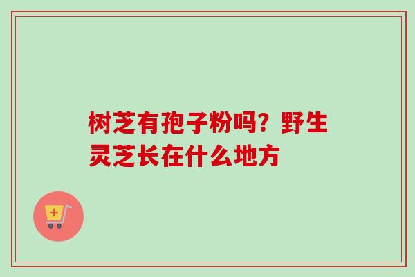 树芝有孢子粉吗？野生灵芝长在什么地方