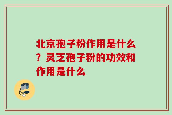 北京孢子粉作用是什么？灵芝孢子粉的功效和作用是什么