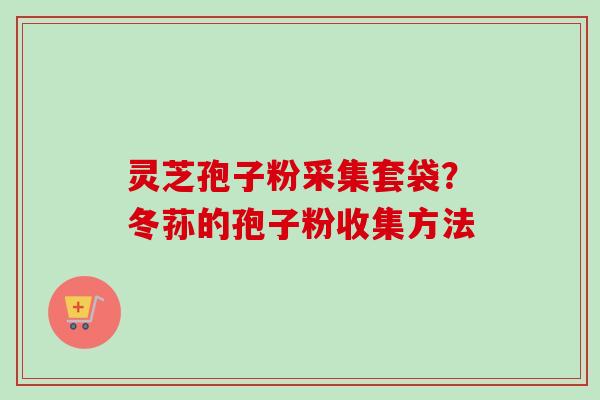 灵芝孢子粉采集套袋？冬荪的孢子粉收集方法