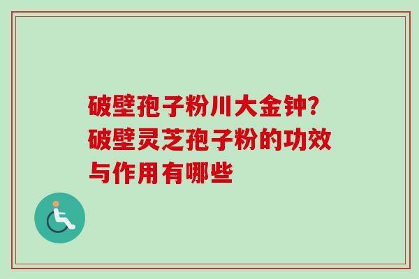 破壁孢子粉川大金钟?破壁灵芝孢子粉的功效与作用有哪些 破壁孢子粉川大金钟?破壁灵芝孢子粉的功效与作用有哪些