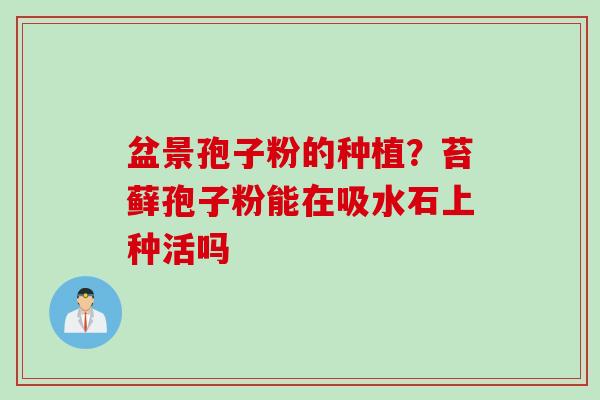 盆景孢子粉的种植？苔藓孢子粉能在吸水石上种活吗