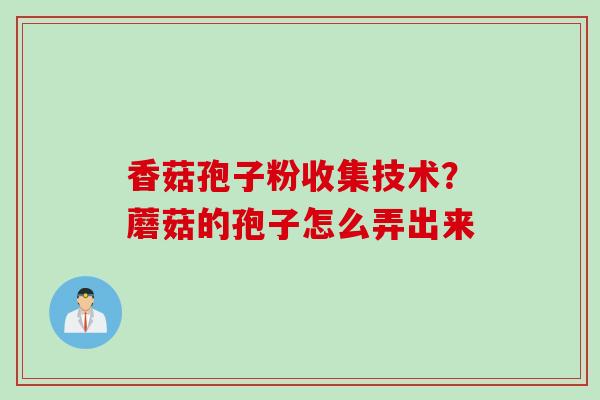 香菇孢子粉收集技术？蘑菇的孢子怎么弄出来