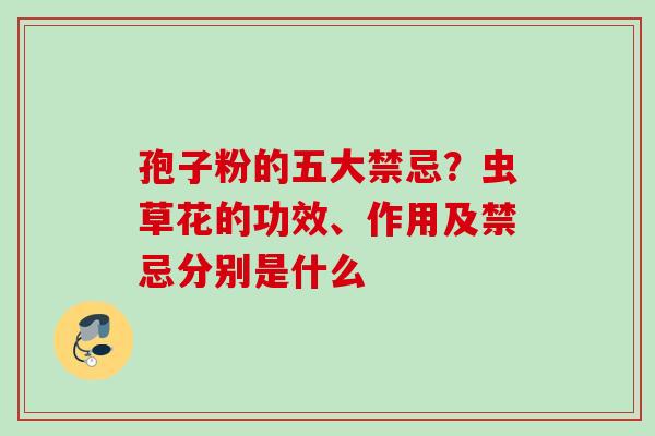 孢子粉的五大禁忌？虫草花的功效、作用及禁忌分别是什么