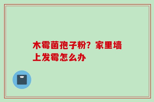 木霉菌孢子粉？家里墙上发霉怎么办