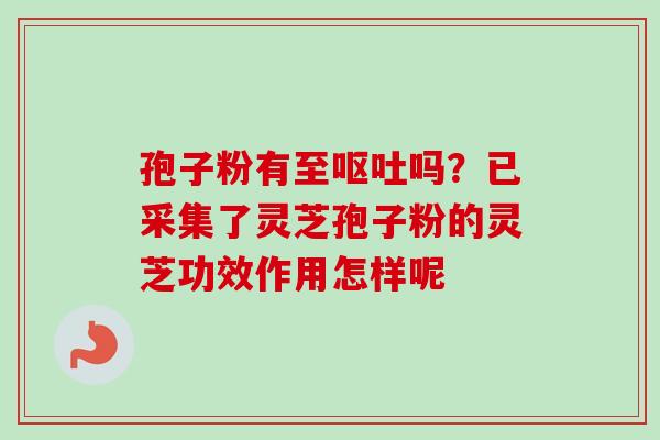 孢子粉有至吗?已采集了灵芝孢子粉的灵芝功效作用怎样呢 孢子粉有至吗?已采集了灵芝孢子粉的灵芝功效作用怎样呢