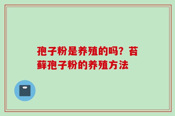 孢子粉是养殖的吗？苔藓孢子粉的养殖方法