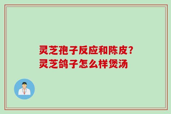 灵芝孢子反应和陈皮？灵芝鸽子怎么样煲汤