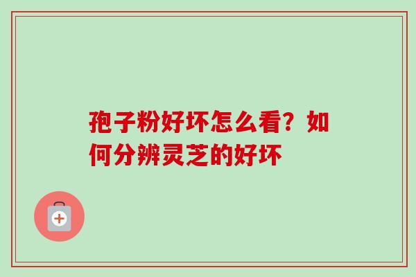孢子粉好坏怎么看？如何分辨灵芝的好坏