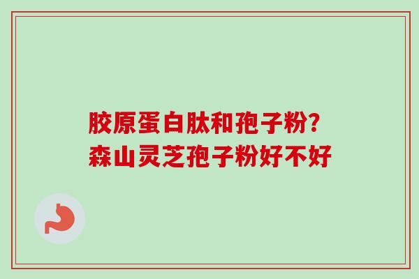 胶原蛋白肽和孢子粉？森山灵芝孢子粉好不好