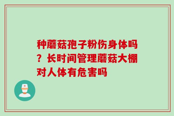 种蘑菇孢子粉伤身体吗？长时间管理蘑菇大棚对人体有危害吗