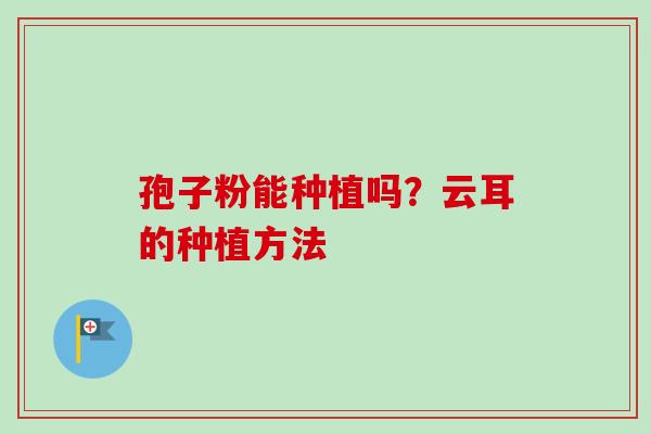 孢子粉能种植吗？云耳的种植方法