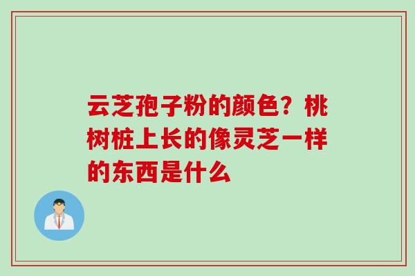 云芝孢子粉的颜色？桃树桩上长的像灵芝一样的东西是什么