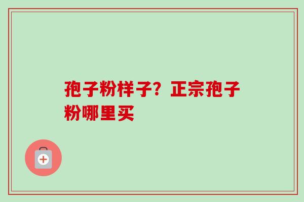 孢子粉样子？正宗孢子粉哪里买
