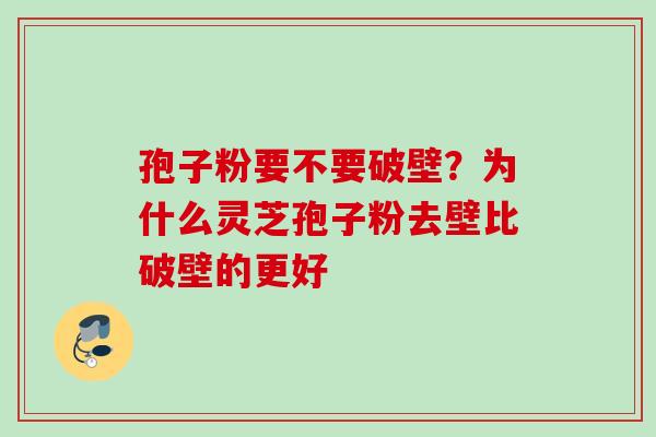 孢子粉要不要破壁？为什么灵芝孢子粉去壁比破壁的更好