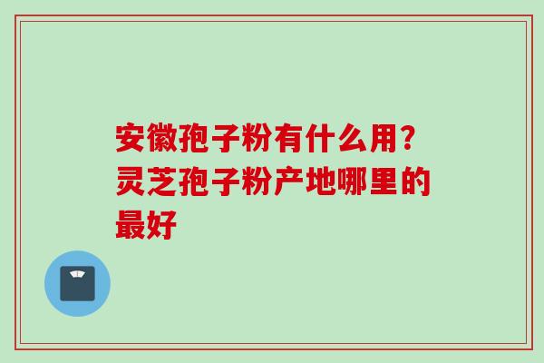 安徽孢子粉有什么用？灵芝孢子粉产地哪里的好