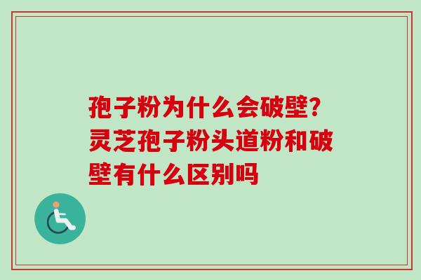 孢子粉为什么会破壁？灵芝孢子粉头道粉和破壁有什么区别吗