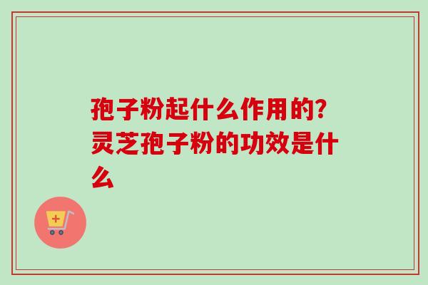 孢子粉起什么作用的？灵芝孢子粉的功效是什么