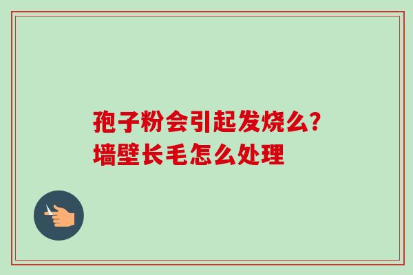 孢子粉会引起发烧么?墙壁长毛怎么处理 孢子粉会引起发烧么?墙壁长毛怎么处理