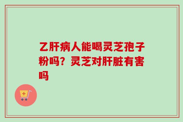 乙肝病人能喝灵芝孢子粉吗？灵芝对肝脏有害吗