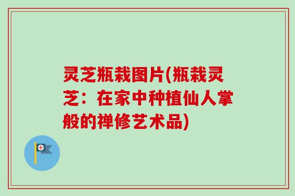 灵芝瓶栽图片(瓶栽灵芝：在家中种植仙人掌般的禅修艺术品)