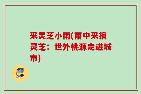 采灵芝小雨(雨中采摘灵芝：世外桃源走进城市)