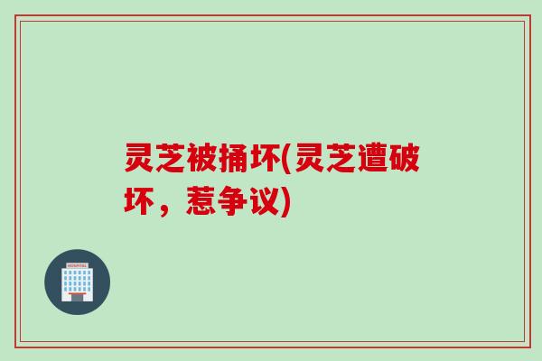 灵芝被捅坏(灵芝遭破坏，惹争议)