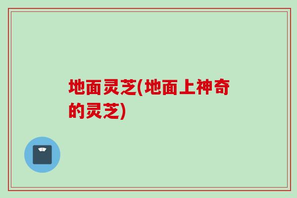 地面灵芝(地面上神奇的灵芝)