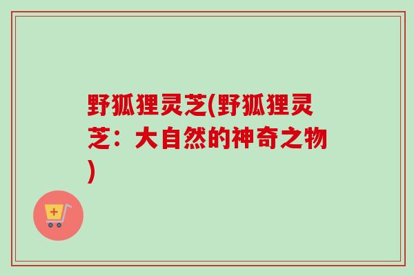 野狐狸灵芝(野狐狸灵芝：大自然的神奇之物)
